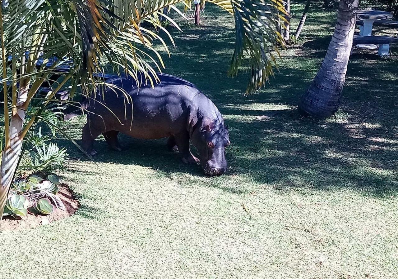Elephant Lake Hotel Saint Lucia Estuary Εξωτερικό φωτογραφία